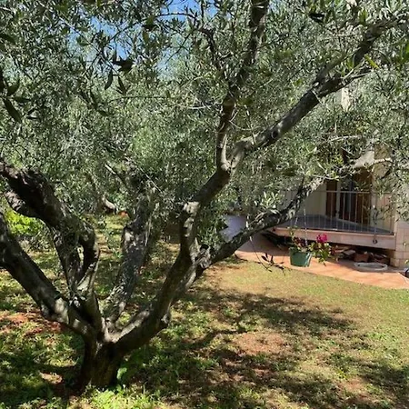 Mit Zwei Terrassen Mit Meerblick By Interhome *