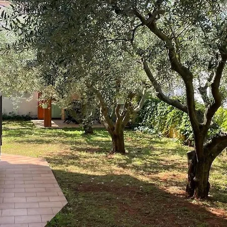 Mit Zwei Terrassen Mit Meerblick By Interhome Lägenhet *